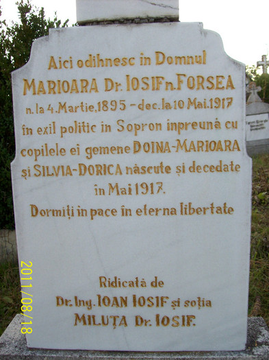 Restaurarea scrisului de pe monumentul funerar al fam.Dr.IOSIF.din cimitirul din  Palos. - POZE VECHI DIN PALOS ARDEAL