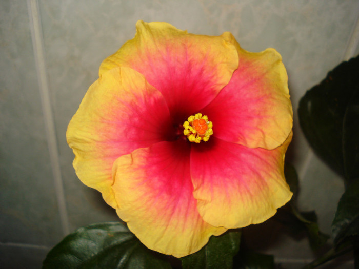 DSC00487