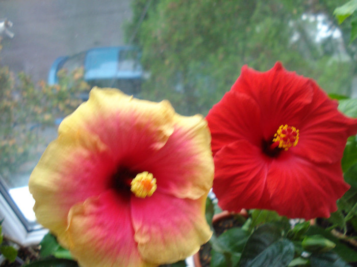 DSC00501