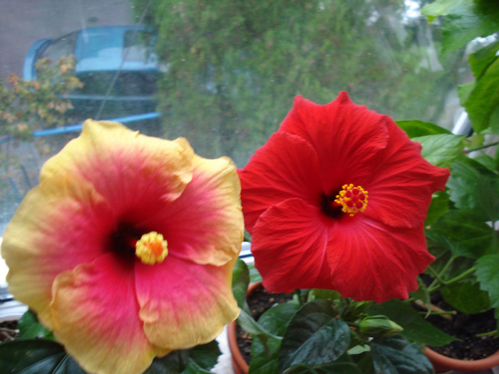DSC00502