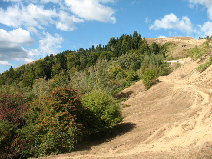 IMG_2386 - 2011 TRANSALPINA