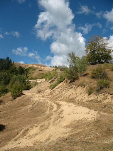 IMG_2389 - 2011 TRANSALPINA