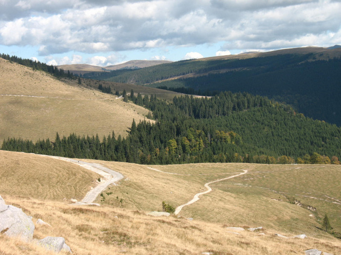 IMG_2521 - 2011 TRANSALPINA