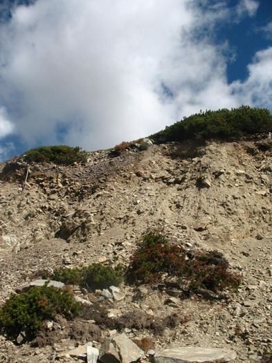IMG_2560 - 2011 TRANSALPINA