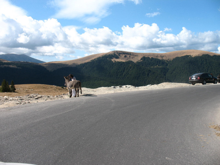 IMG_2707 - 2011 TRANSALPINA