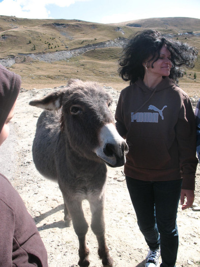 IMG_2714 - 2011 TRANSALPINA