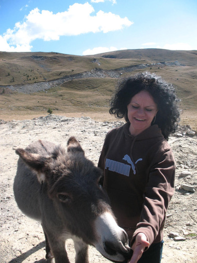 IMG_2717 - 2011 TRANSALPINA