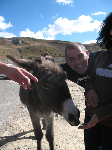IMG_2718 - 2011 TRANSALPINA
