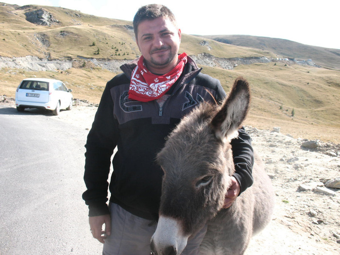 IMG_2724 - 2011 TRANSALPINA