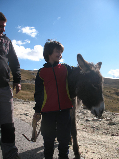 IMG_2725 - 2011 TRANSALPINA