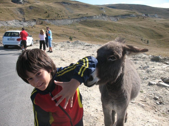 IMG_2728 - 2011 TRANSALPINA