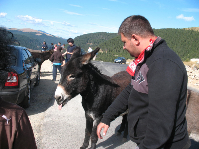 IMG_2729 - 2011 TRANSALPINA
