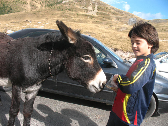 IMG_2733 - 2011 TRANSALPINA