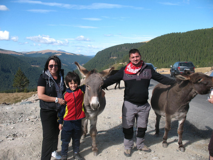 IMG_2738 - 2011 TRANSALPINA