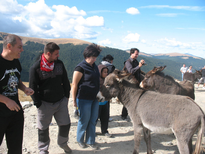IMG_2740 - 2011 TRANSALPINA