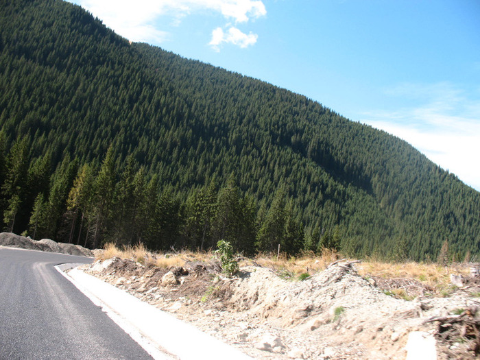 IMG_2755 - 2011 TRANSALPINA