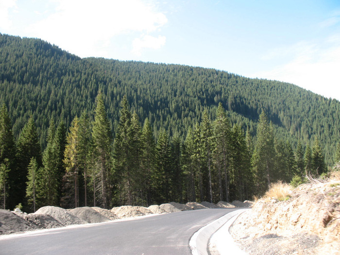 IMG_2756 - 2011 TRANSALPINA