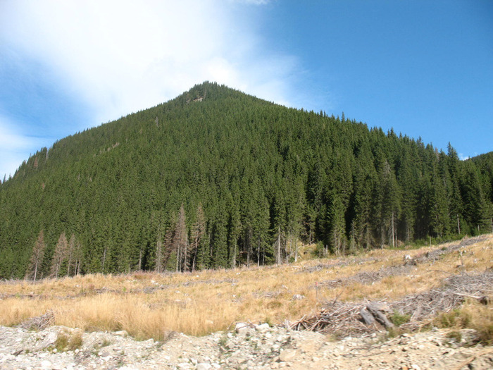 IMG_2758 - 2011 TRANSALPINA