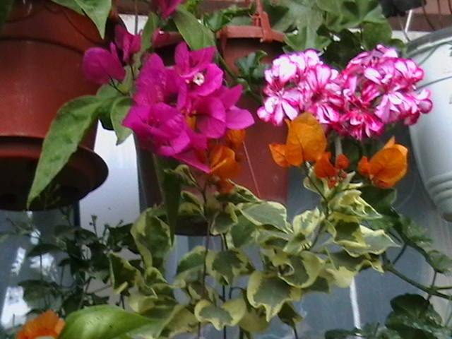Picture 028