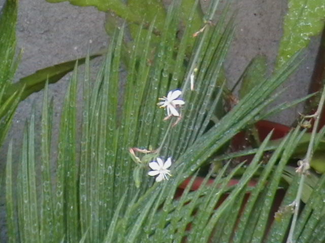 Picture 036