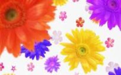 images (4) - poze poze