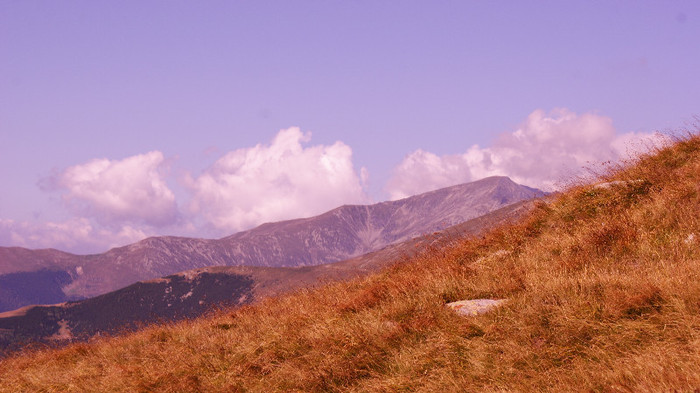 Transalpina - Transalpina