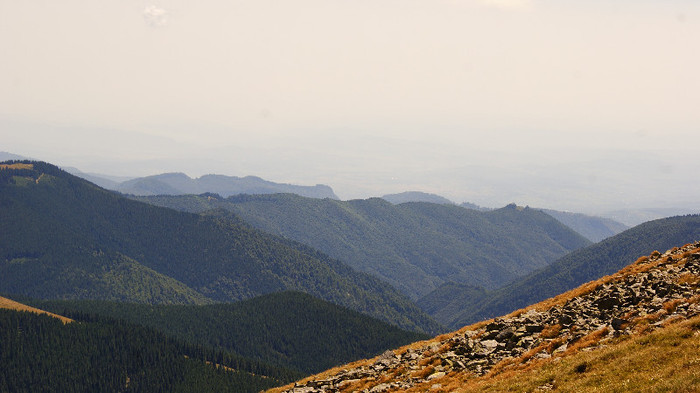 Transalpina - Transalpina