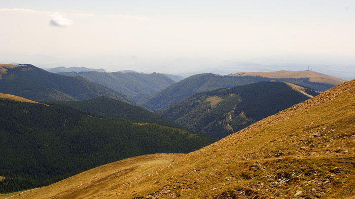 Transalpina