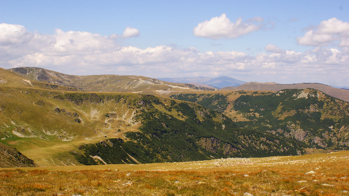 Transalpina - Transalpina