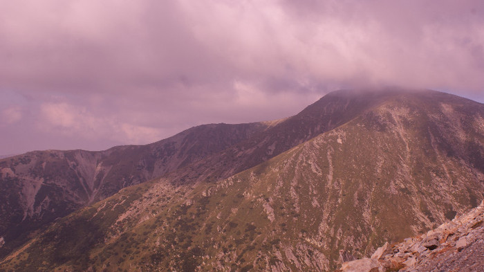 Transalpina - Transalpina
