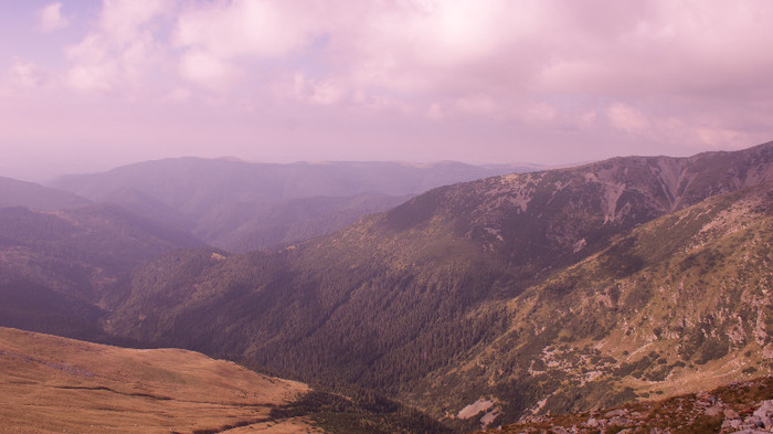 Transalpina - Transalpina