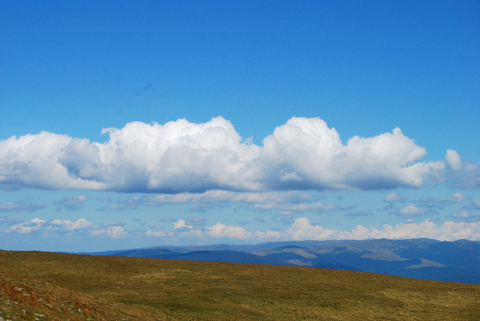 Transalpina - Transalpina