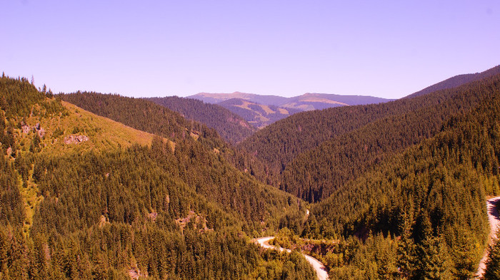 De la Vidra la Voineasa - Transalpina