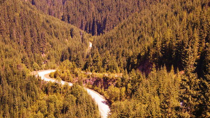 De la Vidra la Voineasa - Transalpina