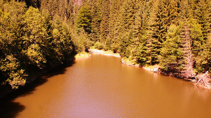 De la Vidra la Voineasa - Transalpina