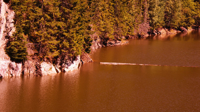 De la Vidra la Voineasa - Transalpina
