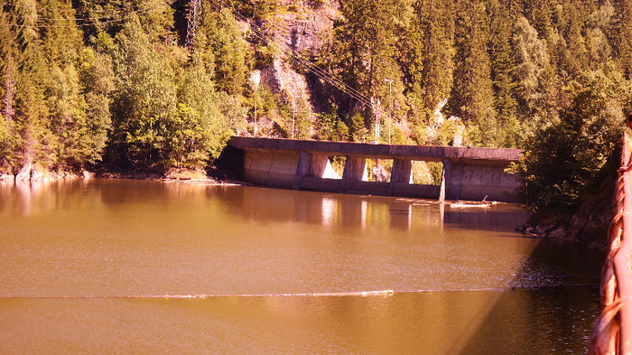De la Vidra la Voineasa - Transalpina
