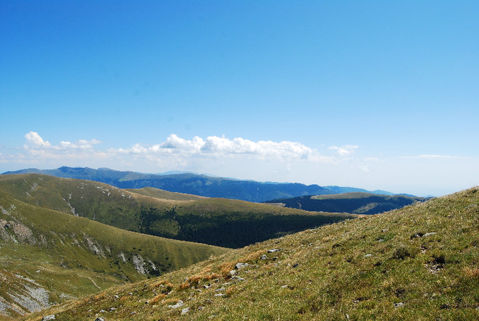 Ranca - Transalpina