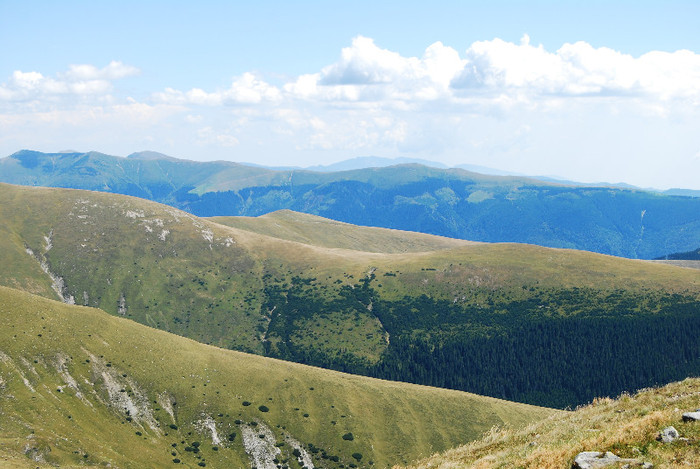 Ranca - Transalpina