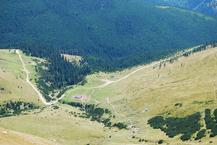 Ranca - Transalpina