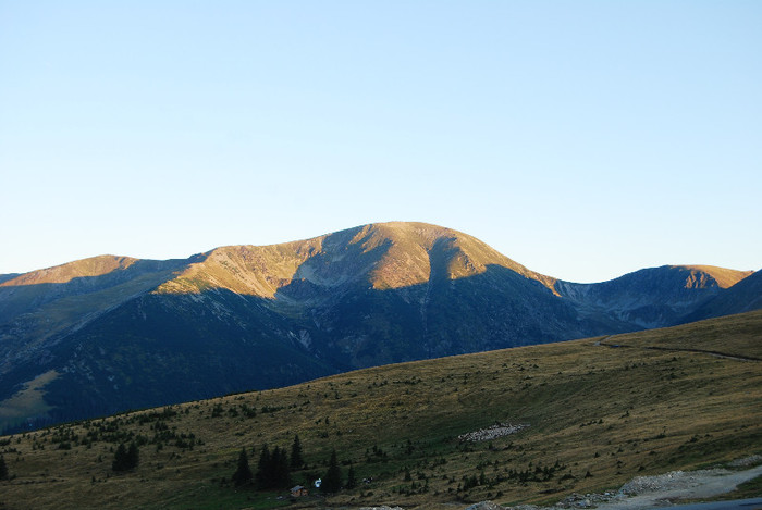 Transalpina - Transalpina