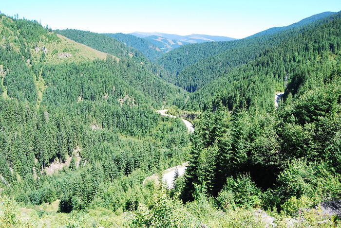 De la Vidra la Voineasa - Transalpina