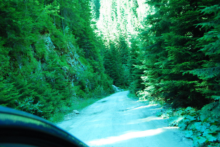De la Vidra la Voineasa - Transalpina