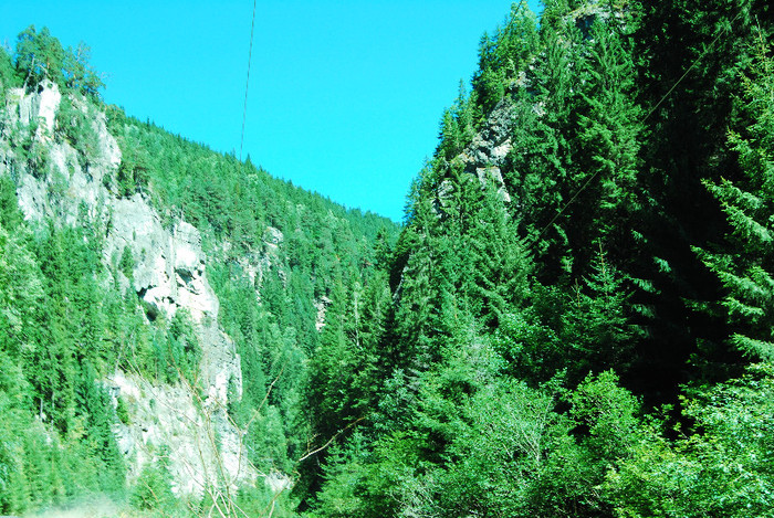De la Vidra la Voineasa - Transalpina