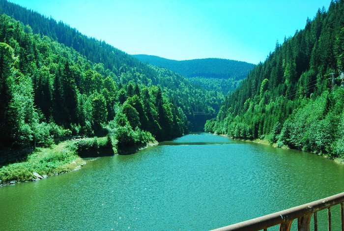 De la Vidra la Voineasa - Transalpina