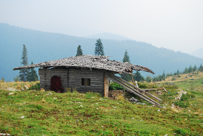 Ranca - Transalpina