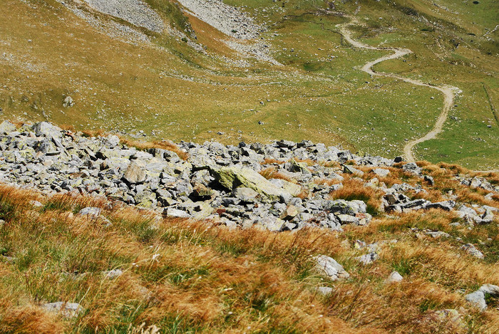 Ranca - Transalpina