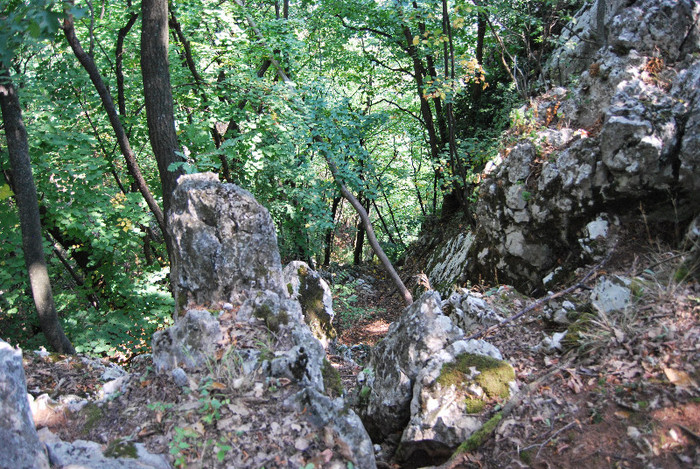 Pe munte la Dubova (109)