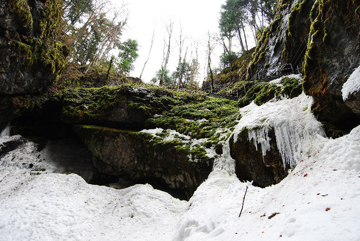 Ghetarul de la Scarisoara
