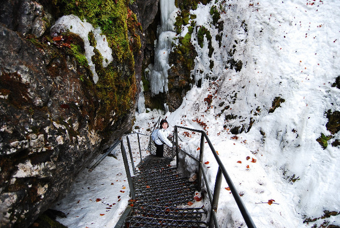 Ghetarul de la Scarisoara